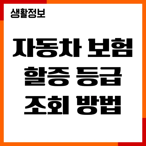 자동차 보험 할증 등급 조회 방법, 인상기준, 특약정보