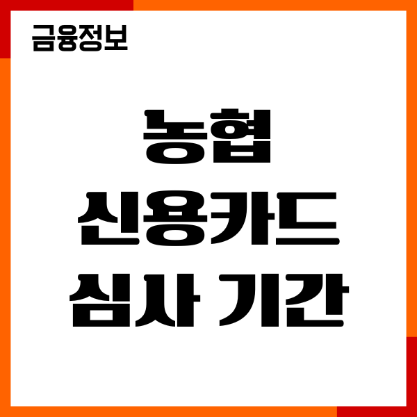 농협 신용카드 심사 기간, 조건 기준, 발급 방법, 이용후기
