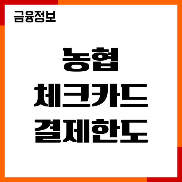 농협 체크카드 결제한도 조회, 분실신고, 재발급, 후기