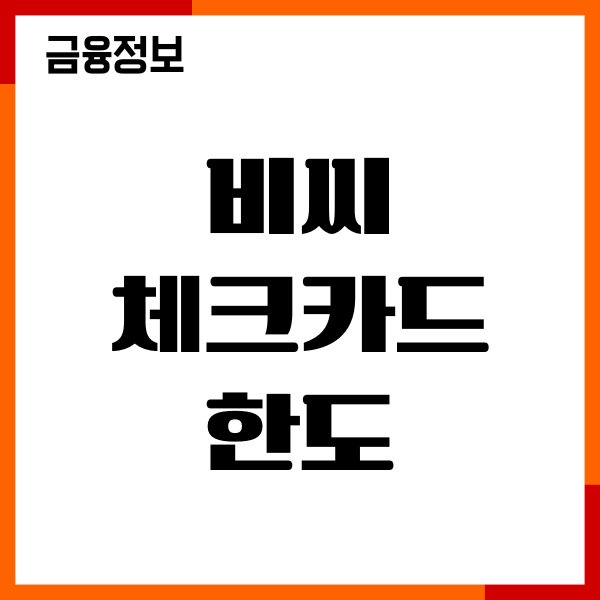 비씨 체크카드 한도 올리기, 상향신청, 조건, 이용후기