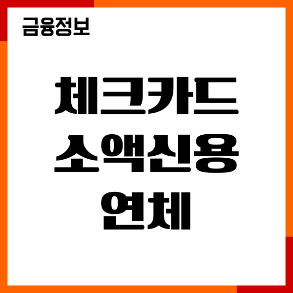 체크카드 소액신용 연체 불이익, 해결방법, 대처후기
